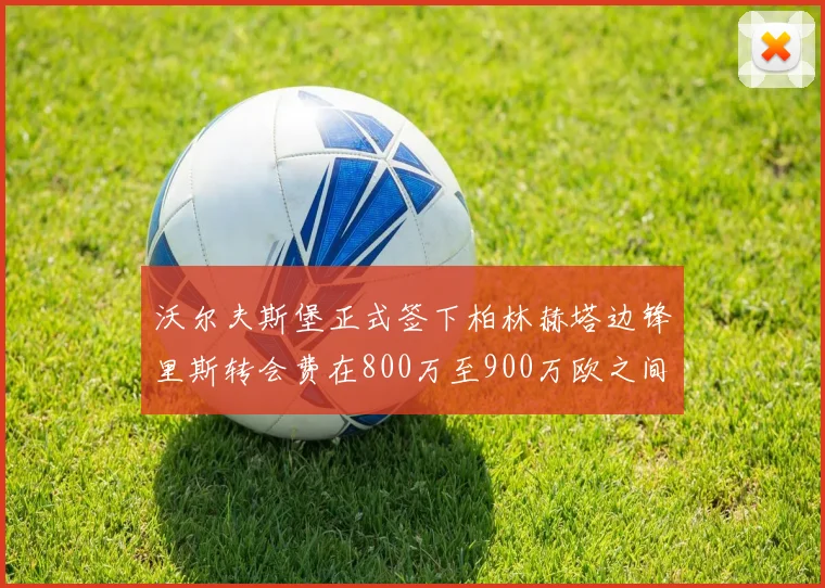 沃尔夫斯堡正式签下柏林赫塔边锋里斯转会费在800万至900万欧之间