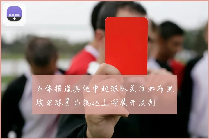 东体报道其他中超球队关注加布里埃尔球员已抵达上海展开谈判