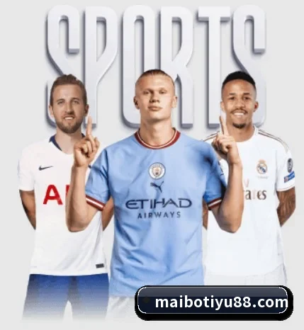 关于我们 - 体育资讯内容服务 - myballsports