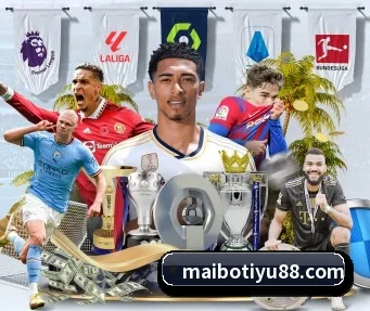 迈博体育 APP(myballsports)